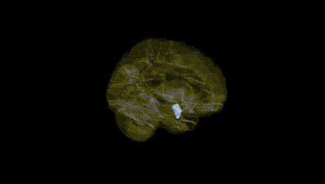 Hemisphere Black