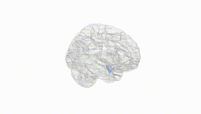 Hemisphere White