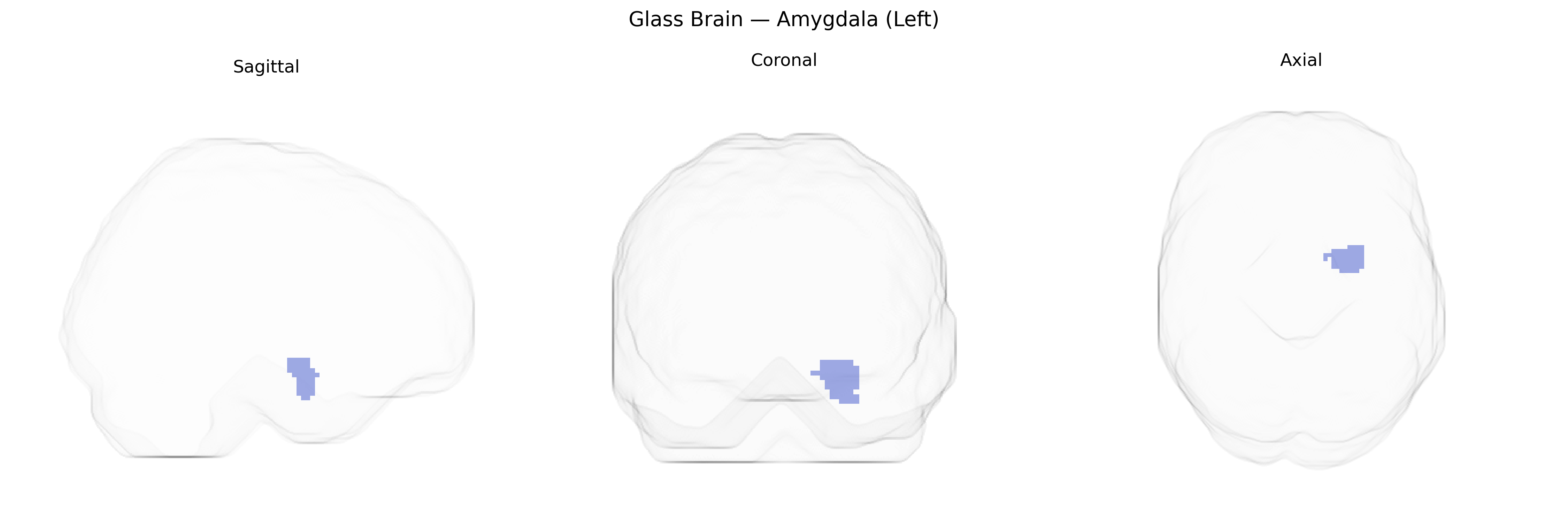 Triplanar Ghost Brain