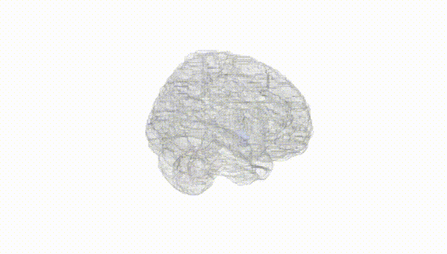 Full Brain White