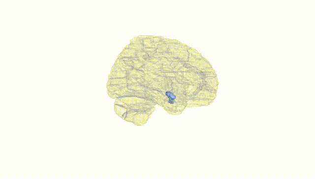 Hemisphere White