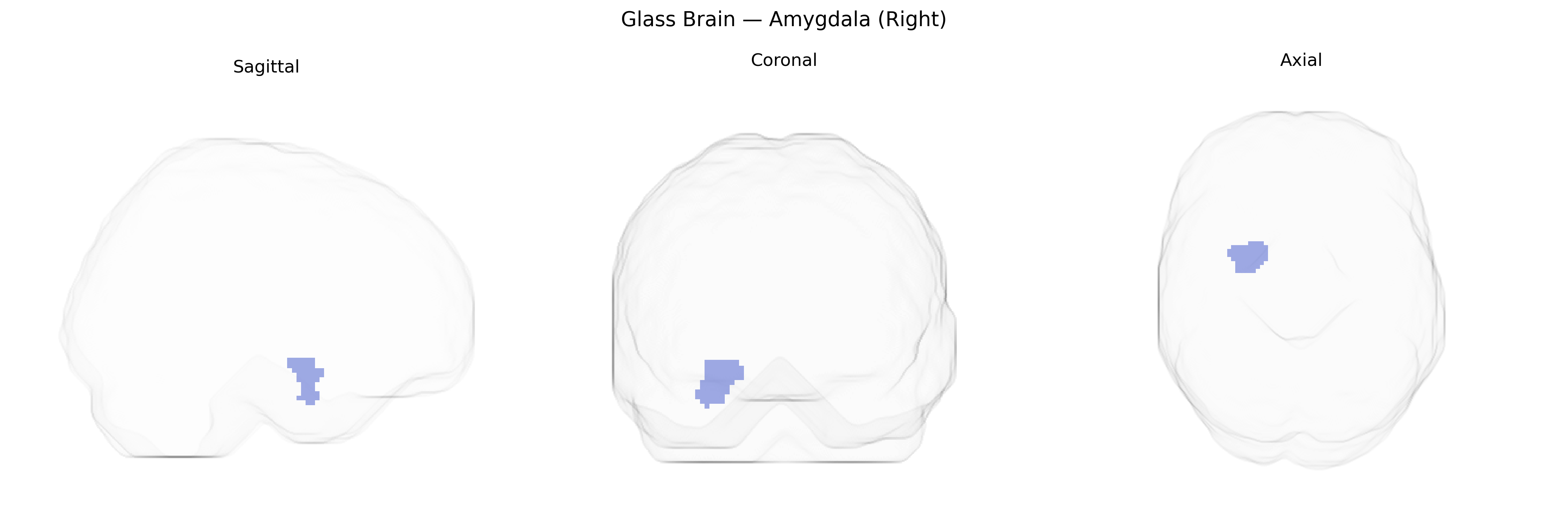 Triplanar Ghost Brain