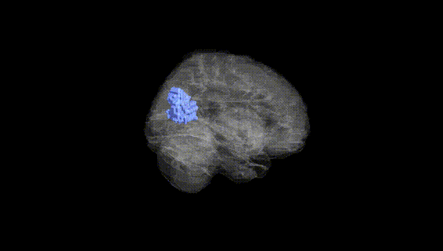 Full Brain Black