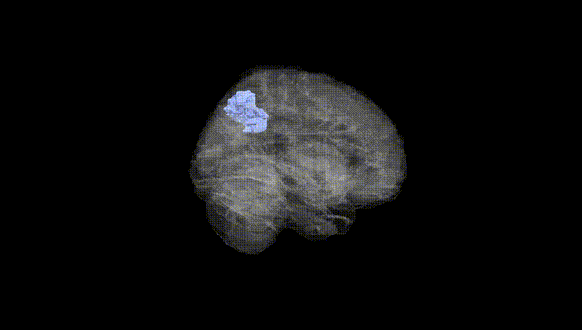 Full Brain Black