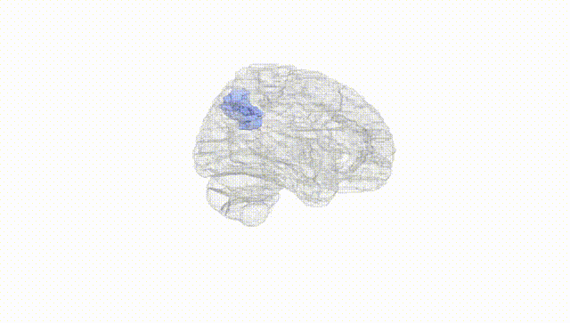 Hemisphere White
