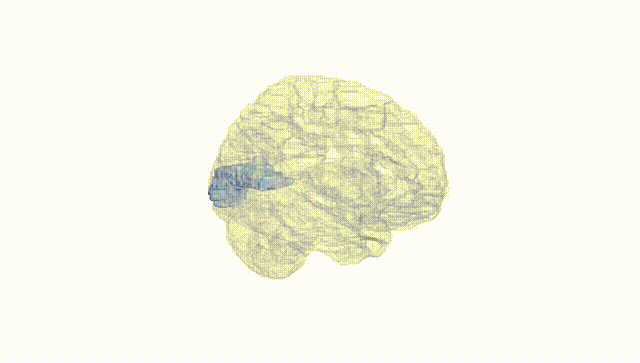 Hemisphere White