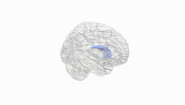 Hemisphere White