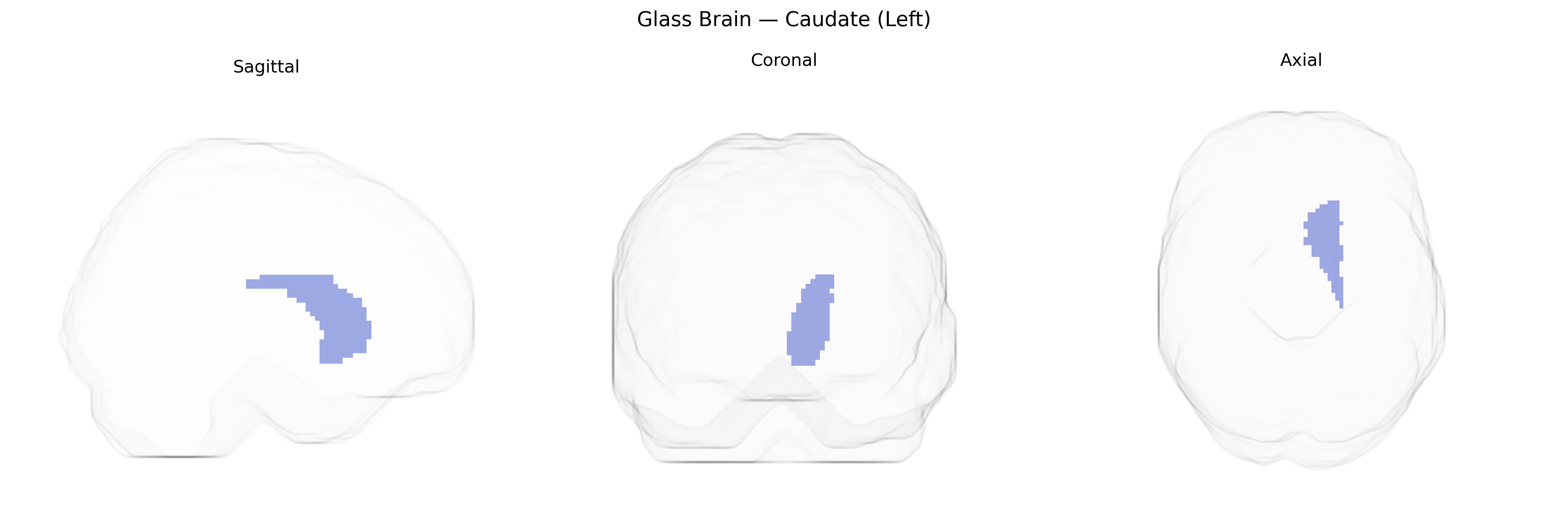 Triplanar Ghost Brain