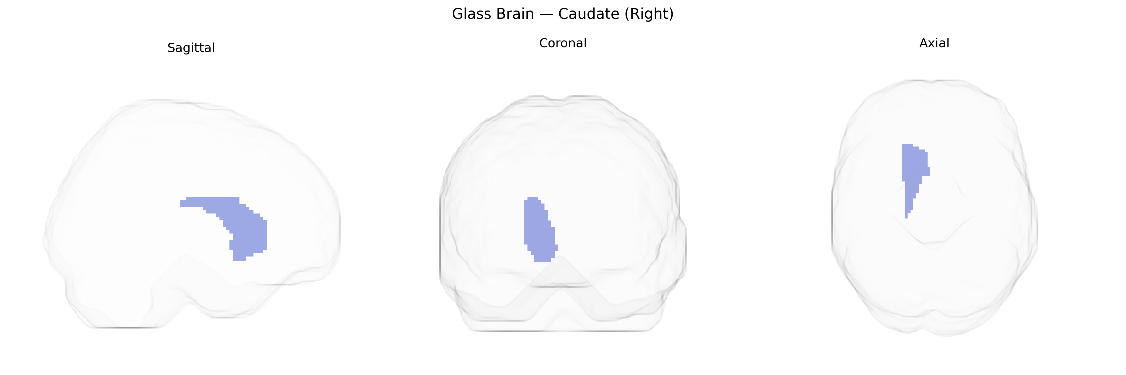 Triplanar Ghost Brain