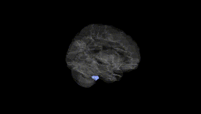 Hemisphere Black