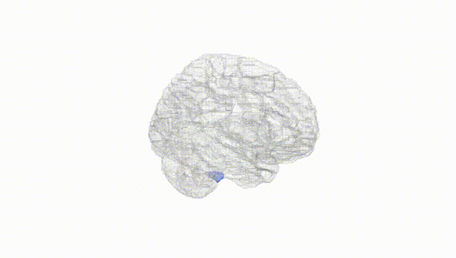 Hemisphere White