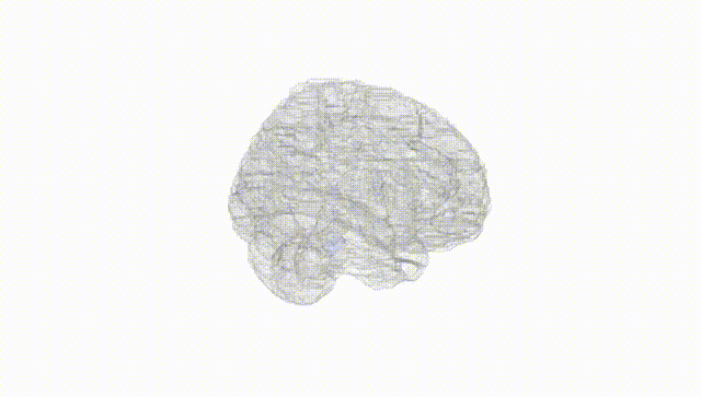 Full Brain White