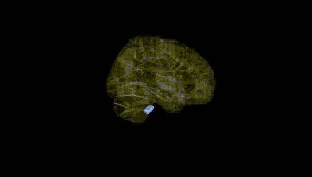 Hemisphere Black