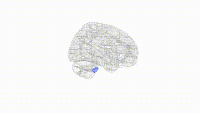 Hemisphere White