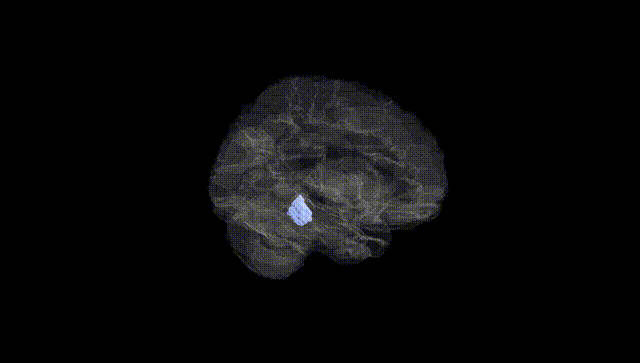 Hemisphere Black
