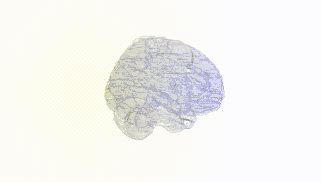 Full Brain White