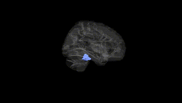Hemisphere Black