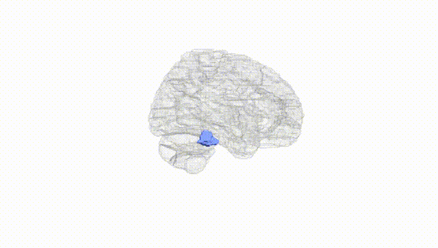Hemisphere White