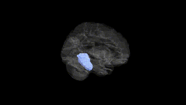 Hemisphere Black