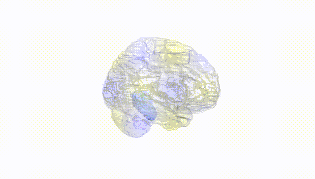 Hemisphere White
