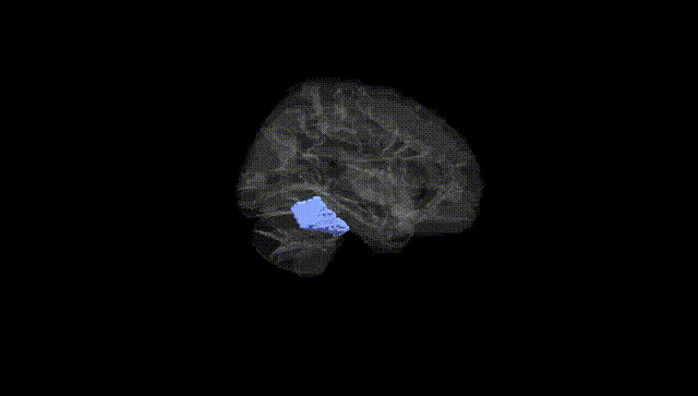 Hemisphere Black