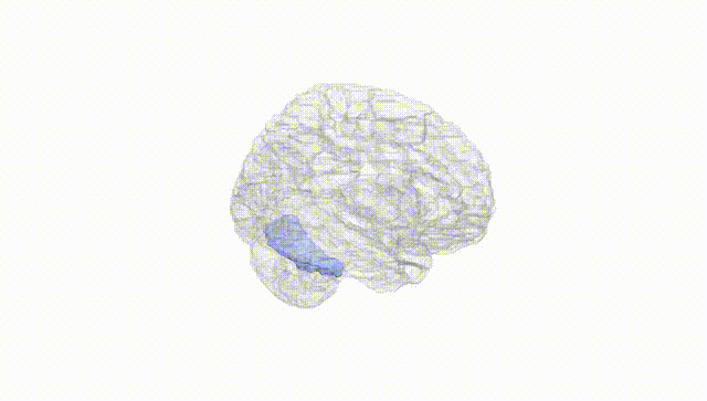 Hemisphere White
