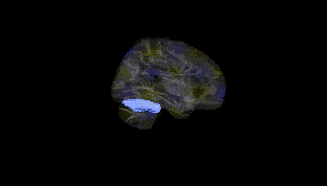 Hemisphere Black