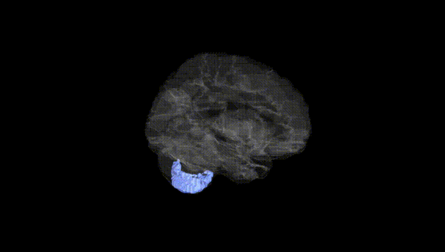 Hemisphere Black