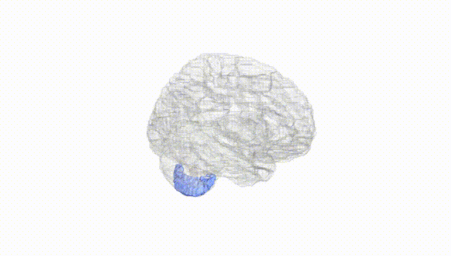 Hemisphere White