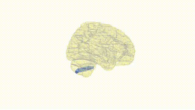 Hemisphere White