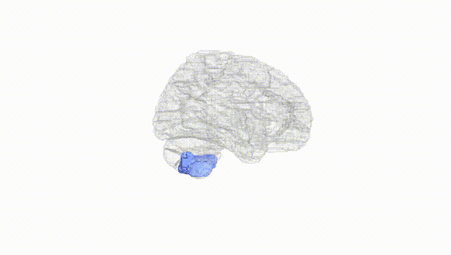 Hemisphere White
