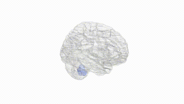 Hemisphere White