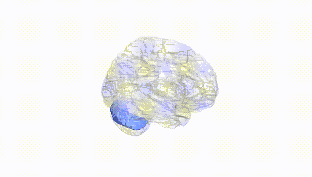 Hemisphere White