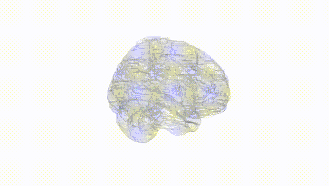 Full Brain White