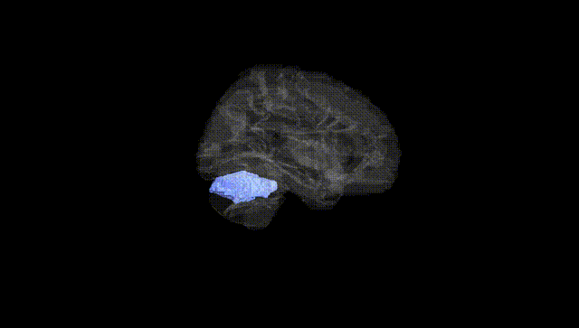 Hemisphere Black