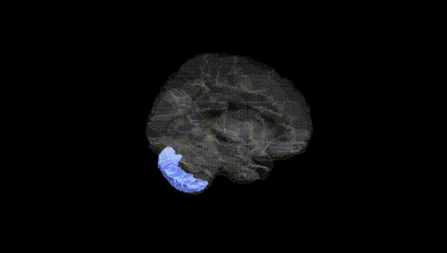Hemisphere Black