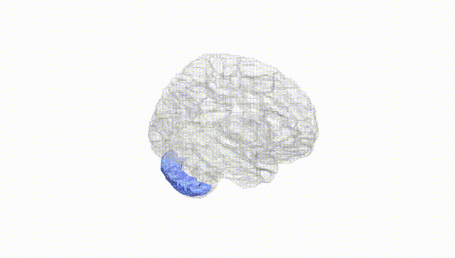 Hemisphere White