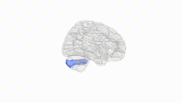 Hemisphere White