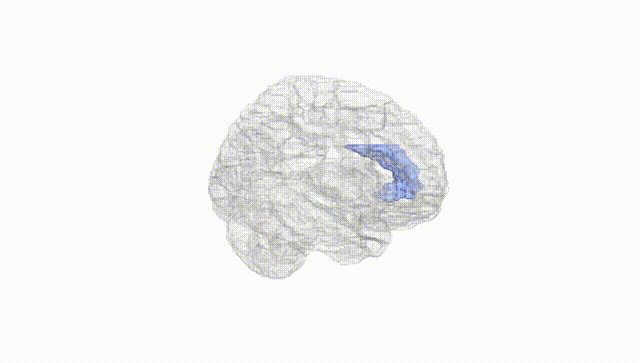 Hemisphere White