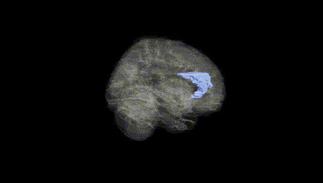 Full Brain Black