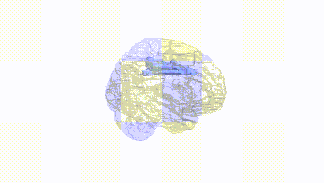 Hemisphere White