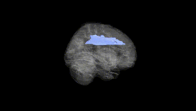 Full Brain Black