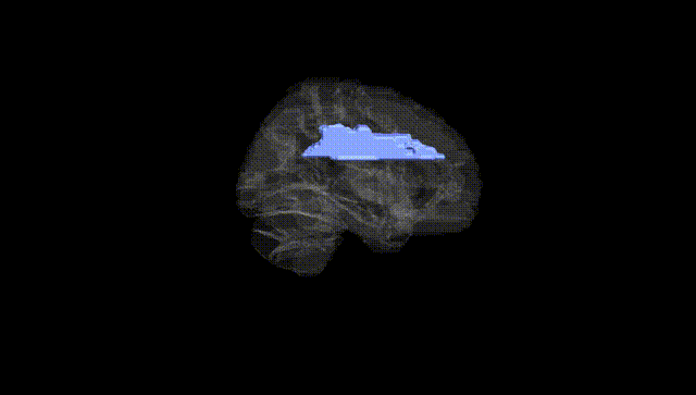 Hemisphere Black