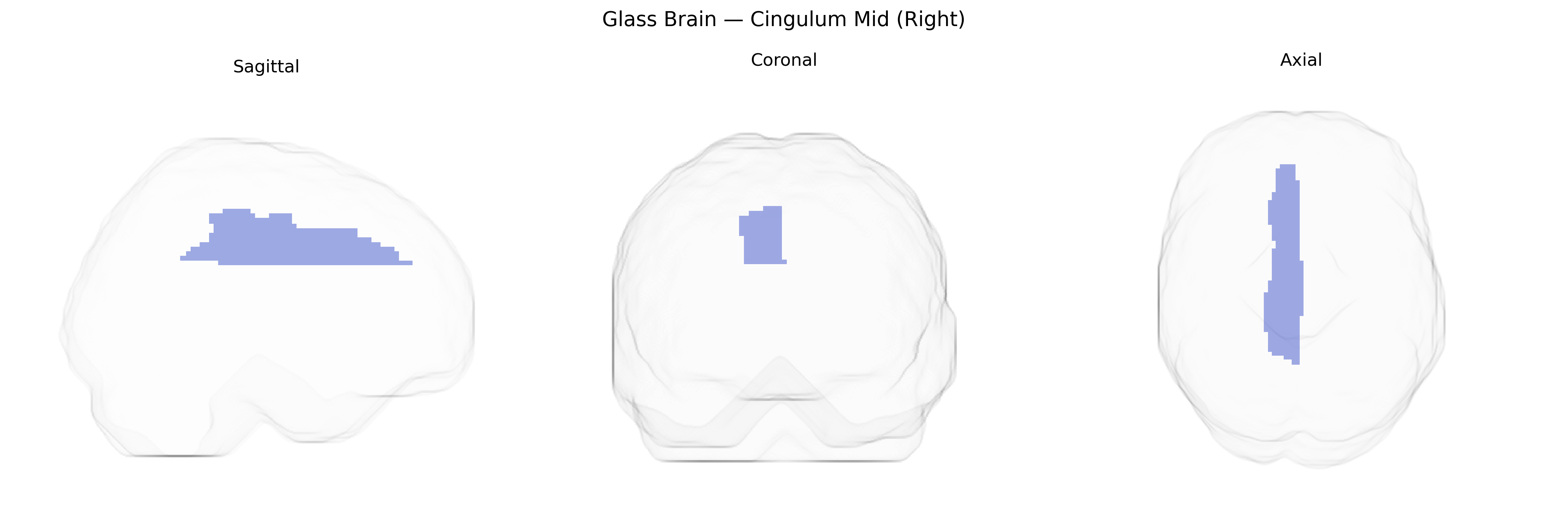 Triplanar Ghost Brain