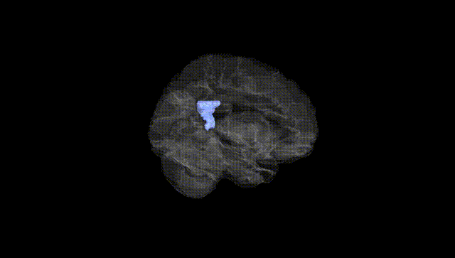 Hemisphere Black