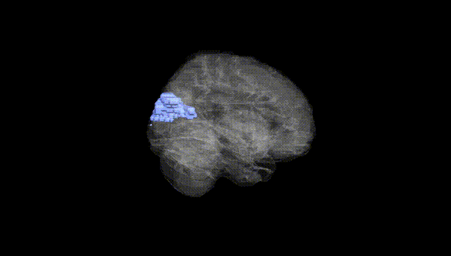 Full Brain Black