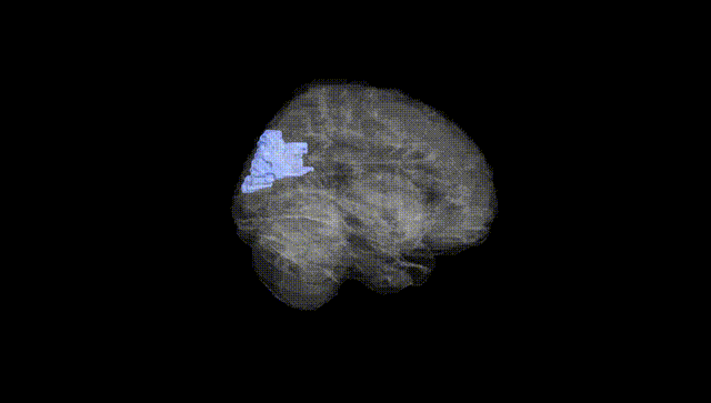 Full Brain Black