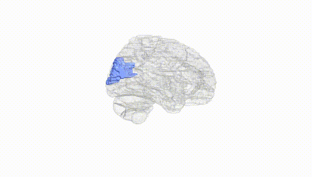 Hemisphere White