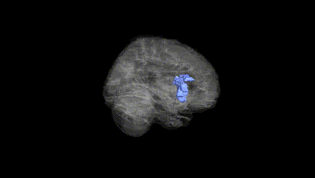 Full Brain Black