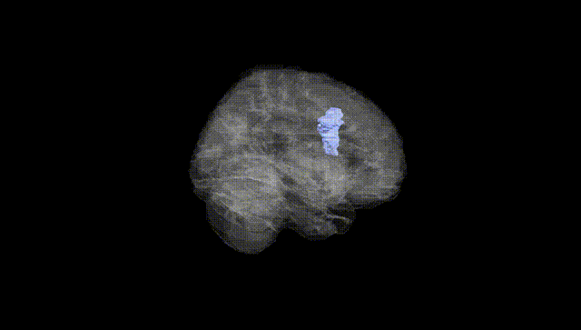 Full Brain Black